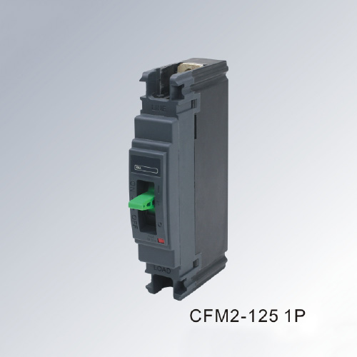 CFM2Moulded Case Circuit Breaker