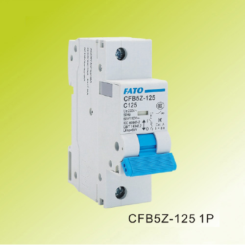 CFB5Z-125 AC/DCplastic case circuit breaker